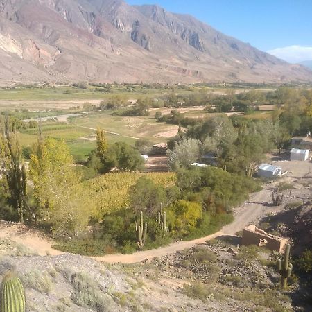 Dormir Con Llamas Maimará Exteriör bild