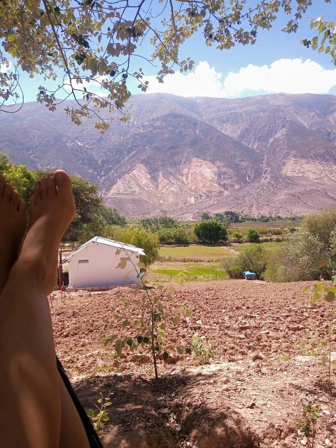 Dormir Con Llamas Maimará Exteriör bild