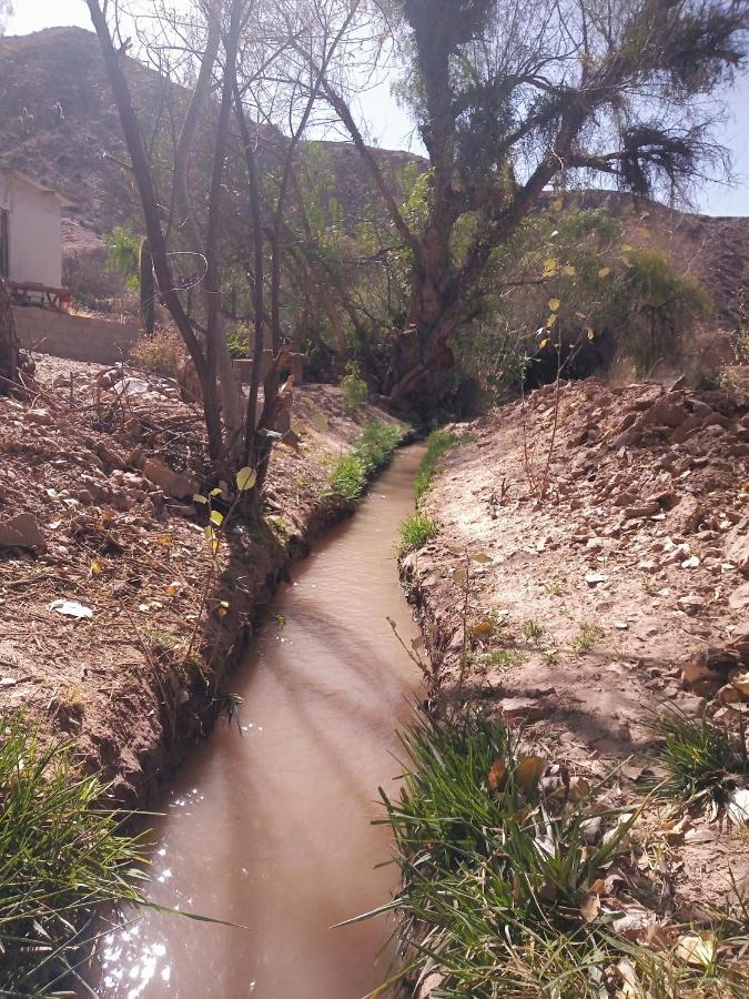 Dormir Con Llamas Maimará Exteriör bild