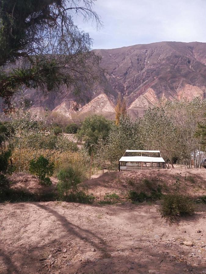 Dormir Con Llamas Maimará Exteriör bild