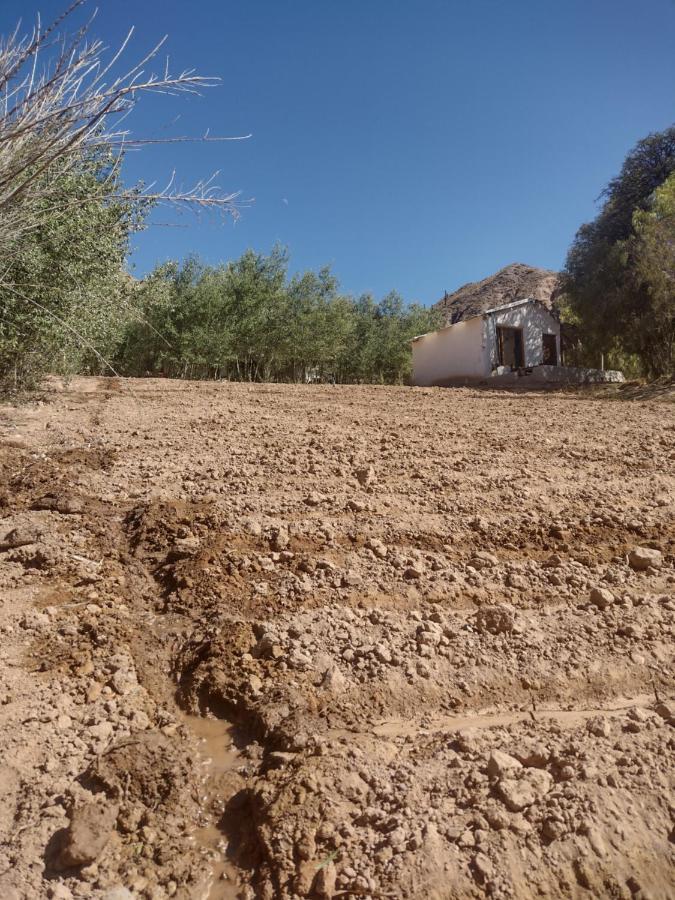 Dormir Con Llamas Maimará Exteriör bild