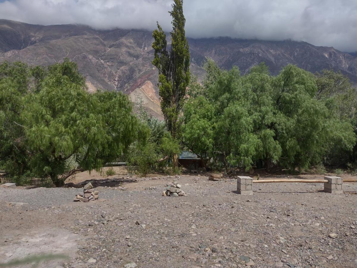 Dormir Con Llamas Maimará Exteriör bild