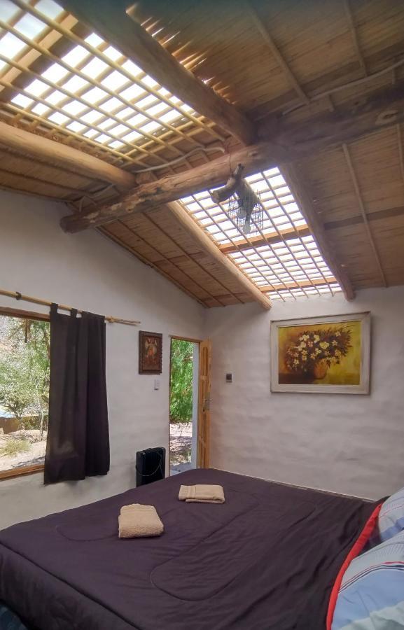 Dormir Con Llamas Maimará Exteriör bild