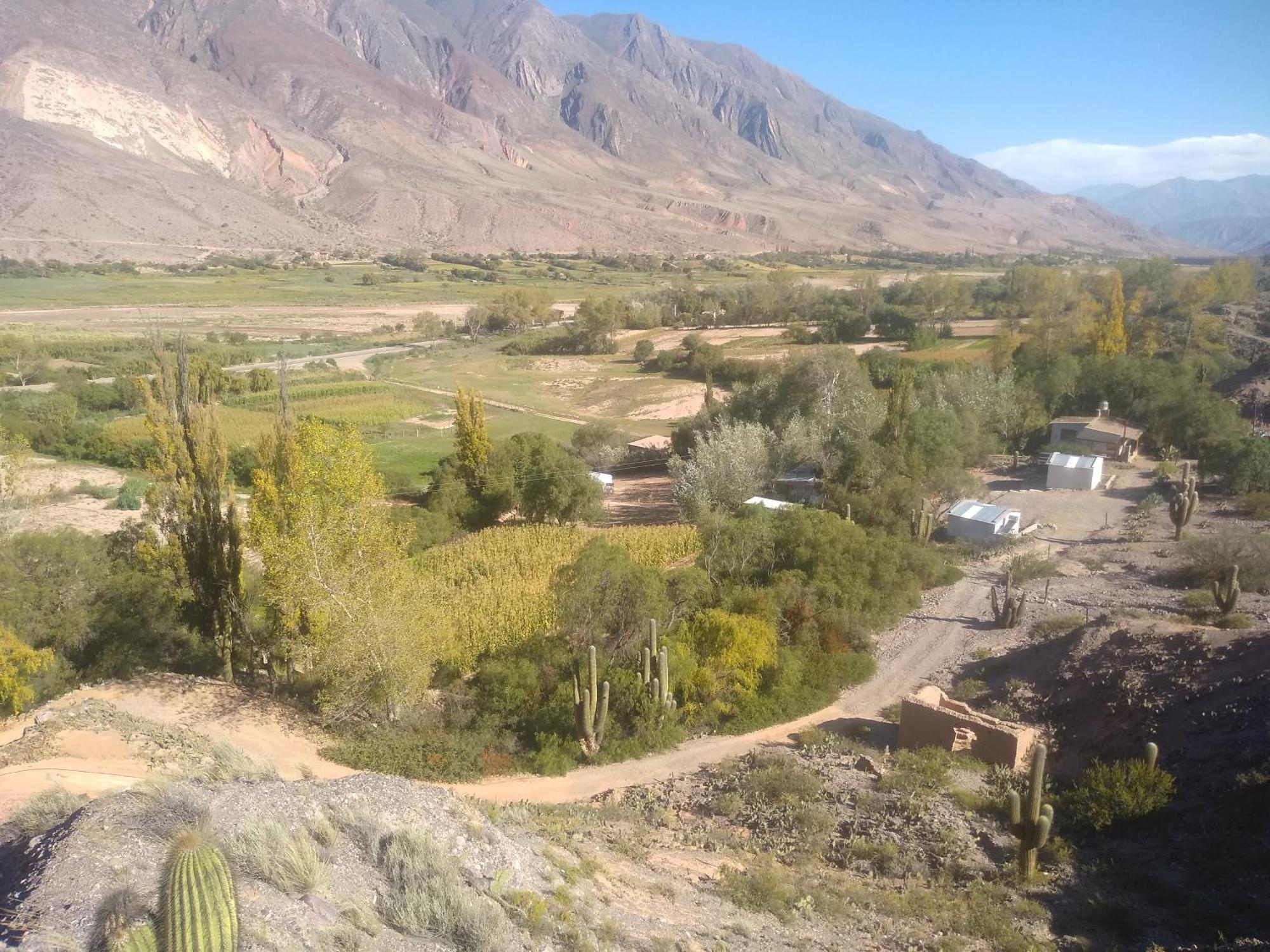 Dormir Con Llamas Maimará Exteriör bild