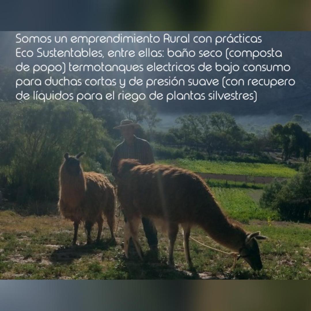 Dormir Con Llamas Maimará Exteriör bild