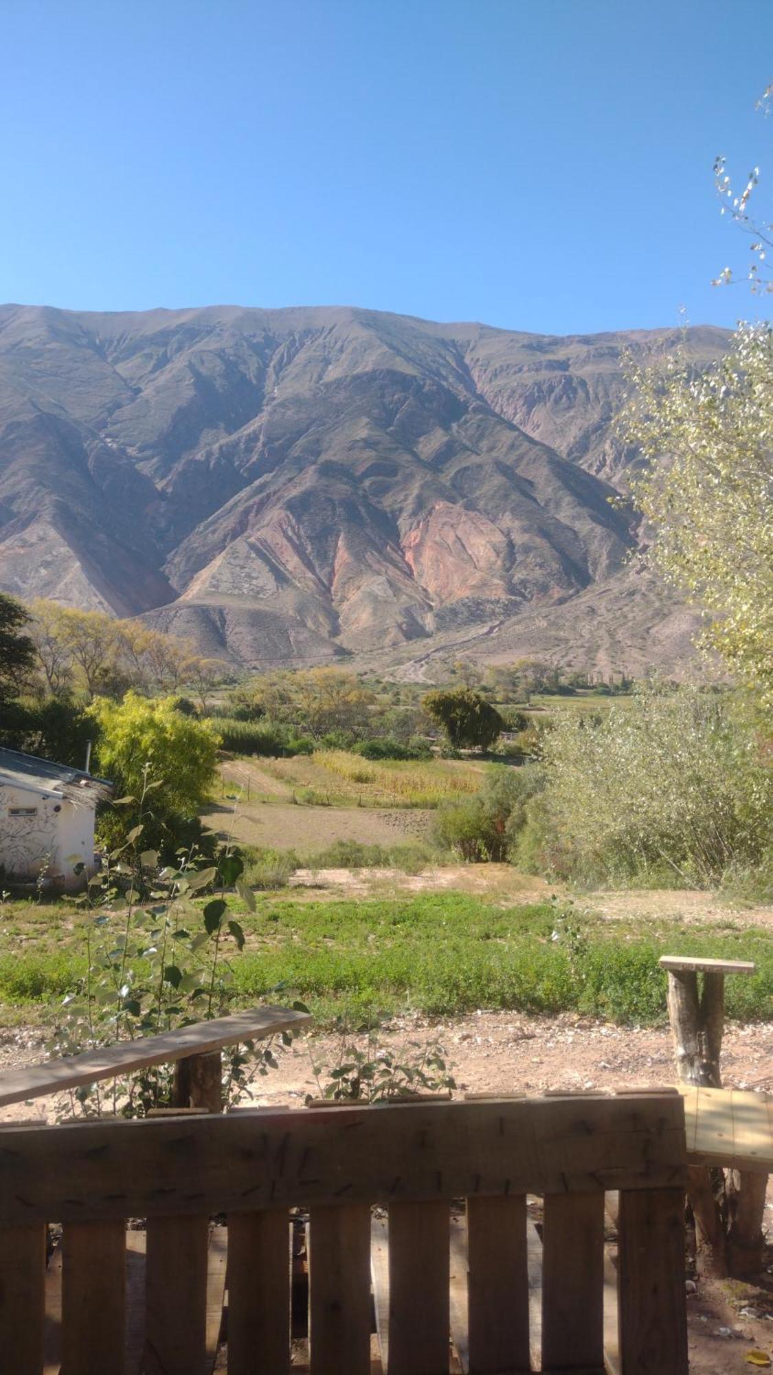 Dormir Con Llamas Maimará Exteriör bild